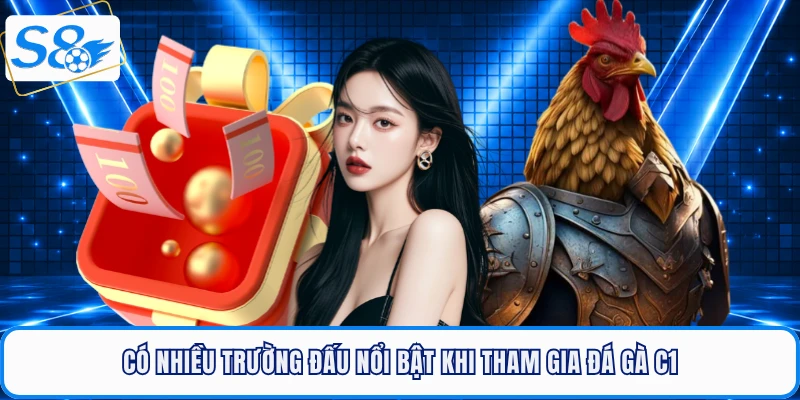 Có nhiều trường đấu nổi bật khi tham gia đá gà C1