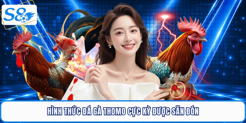Hình thức đá gà Thomo cực kỳ được săn đón